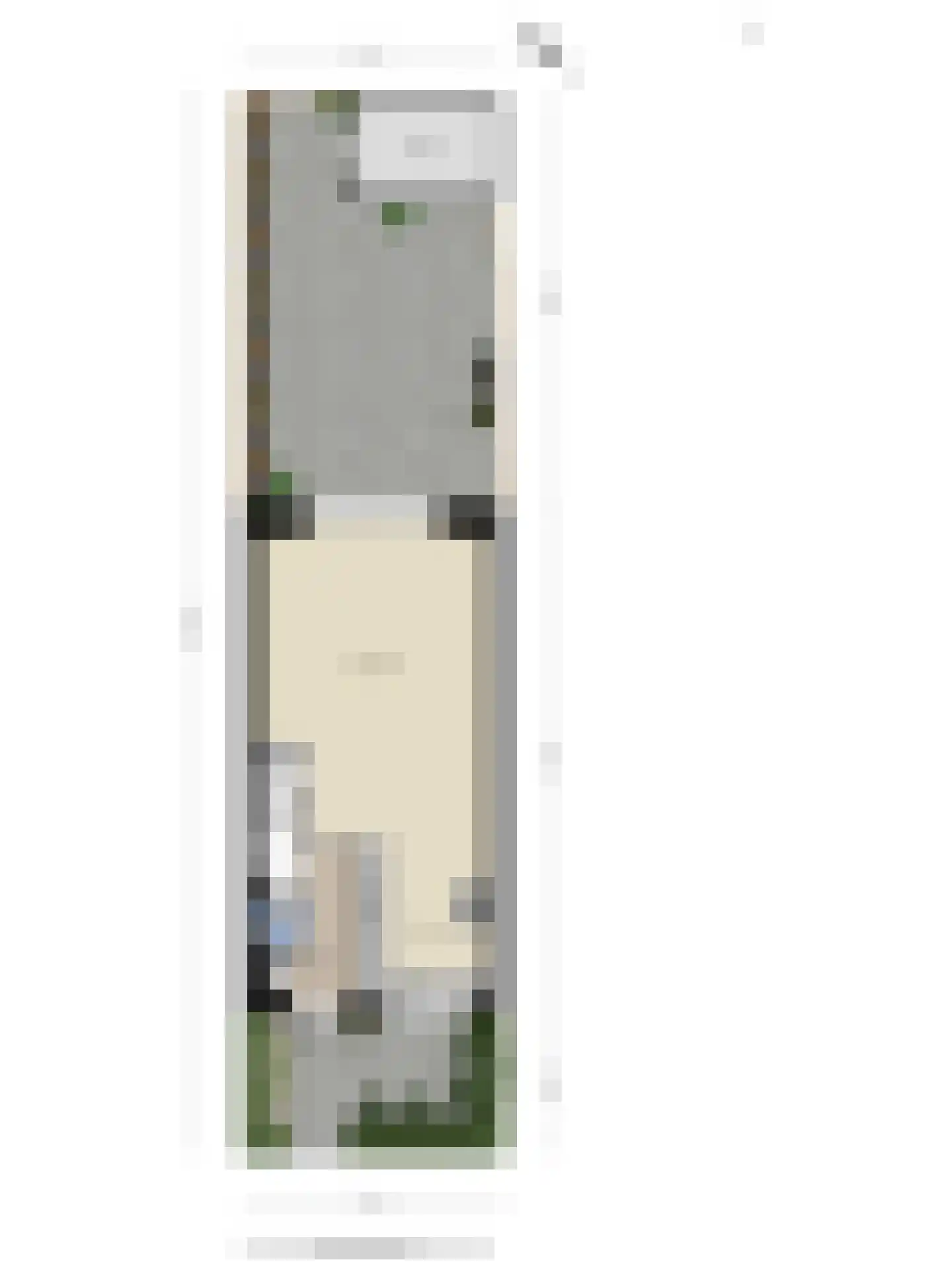 Boomgaarde 15 Hendrik-Ido-Ambacht thumbnail 41