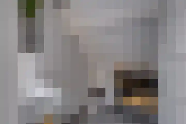 Boomgaarden 15 Borculo thumbnail 21