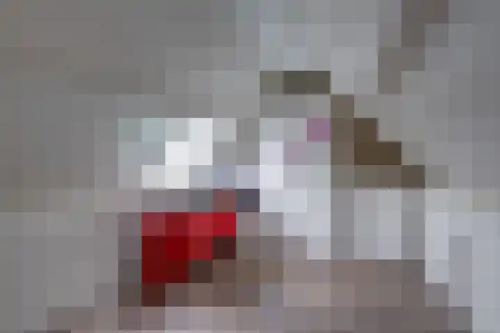 Boomgaarden 15 Borculo thumbnail 22