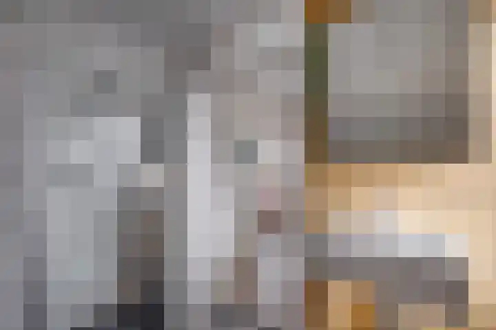 Boomgaarden 15 Borculo thumbnail 6