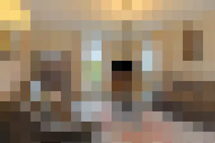 Boomgaarden 27 Borculo thumbnail 15