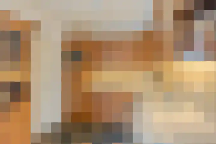 Boomgaarden 27 Borculo thumbnail 18