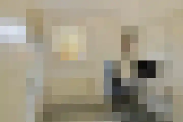 Boomgaarden 27 Borculo thumbnail 31