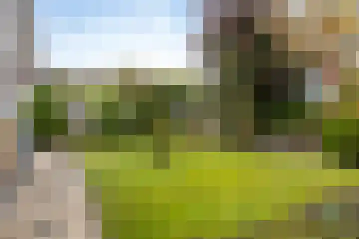 Boomgaarden 27 Borculo thumbnail 7