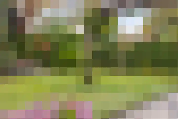 Boomgaarden 27 Borculo thumbnail 8