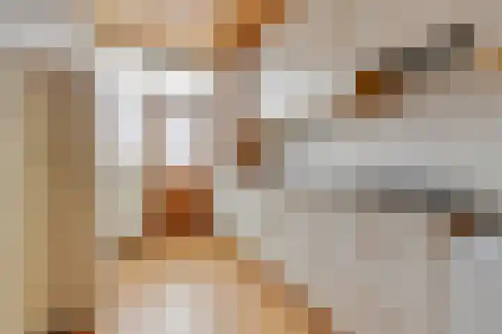 Boomgaarden 44 Blokker thumbnail 12