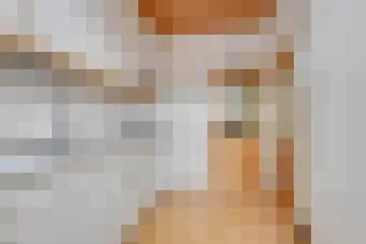 Boomgaarden 44 Blokker thumbnail 13