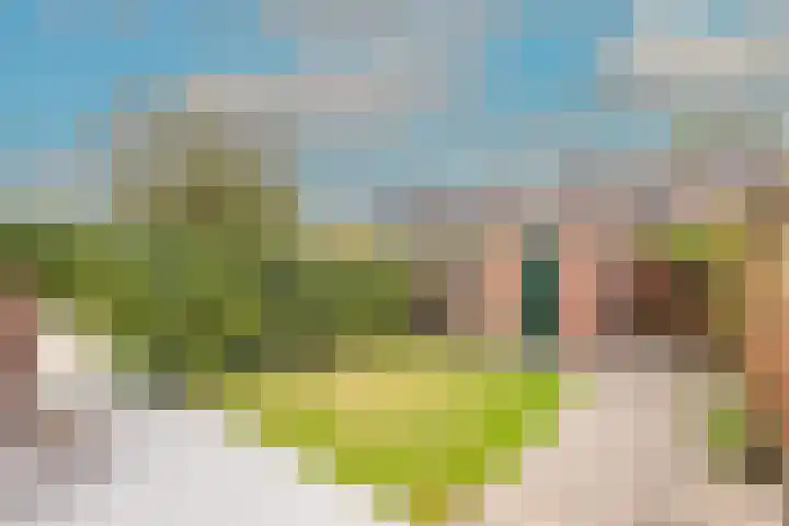 Boomgaarden 44 Blokker thumbnail 29