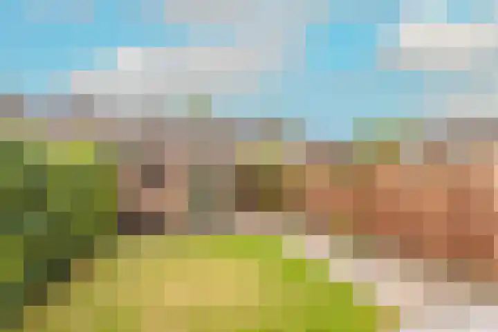 Boomgaarden 44 Blokker thumbnail 30