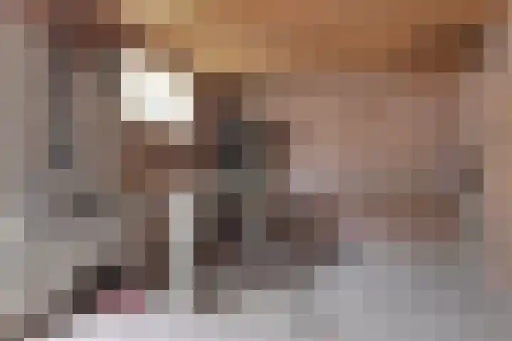 Boomgaarden 44 Blokker thumbnail 33