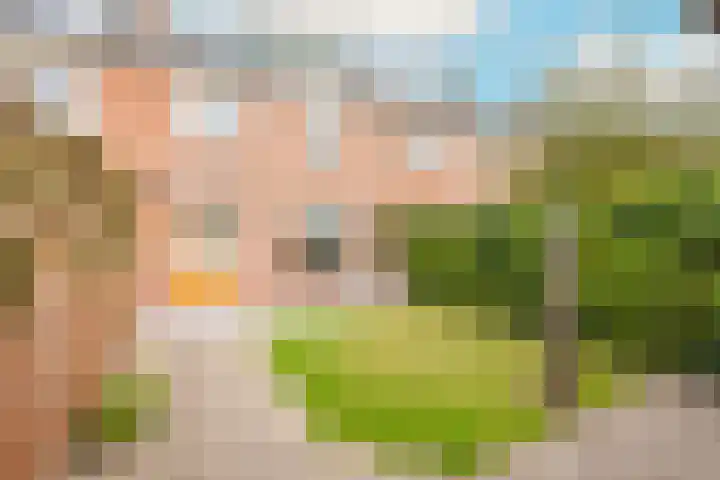 Boomgaarden 44 Blokker thumbnail 34