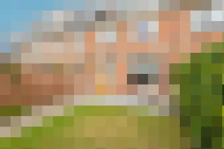 Boomgaarden 44 Blokker thumbnail 35