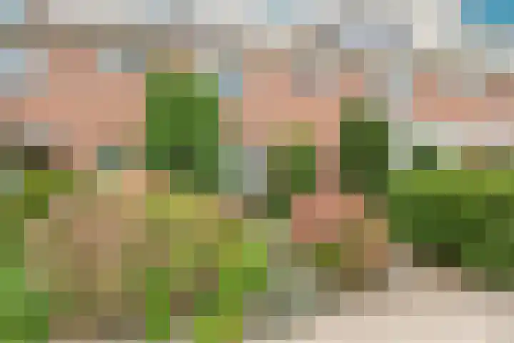 Boomgaarden 44 Blokker thumbnail 36