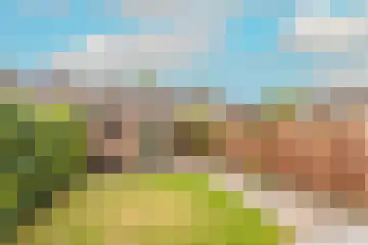 Boomgaarden 44 Blokker thumbnail 6