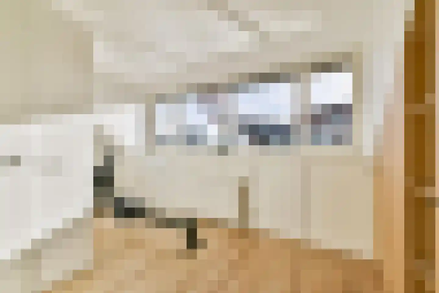 Boomgaardlaan 124 Amsterdam thumbnail 22