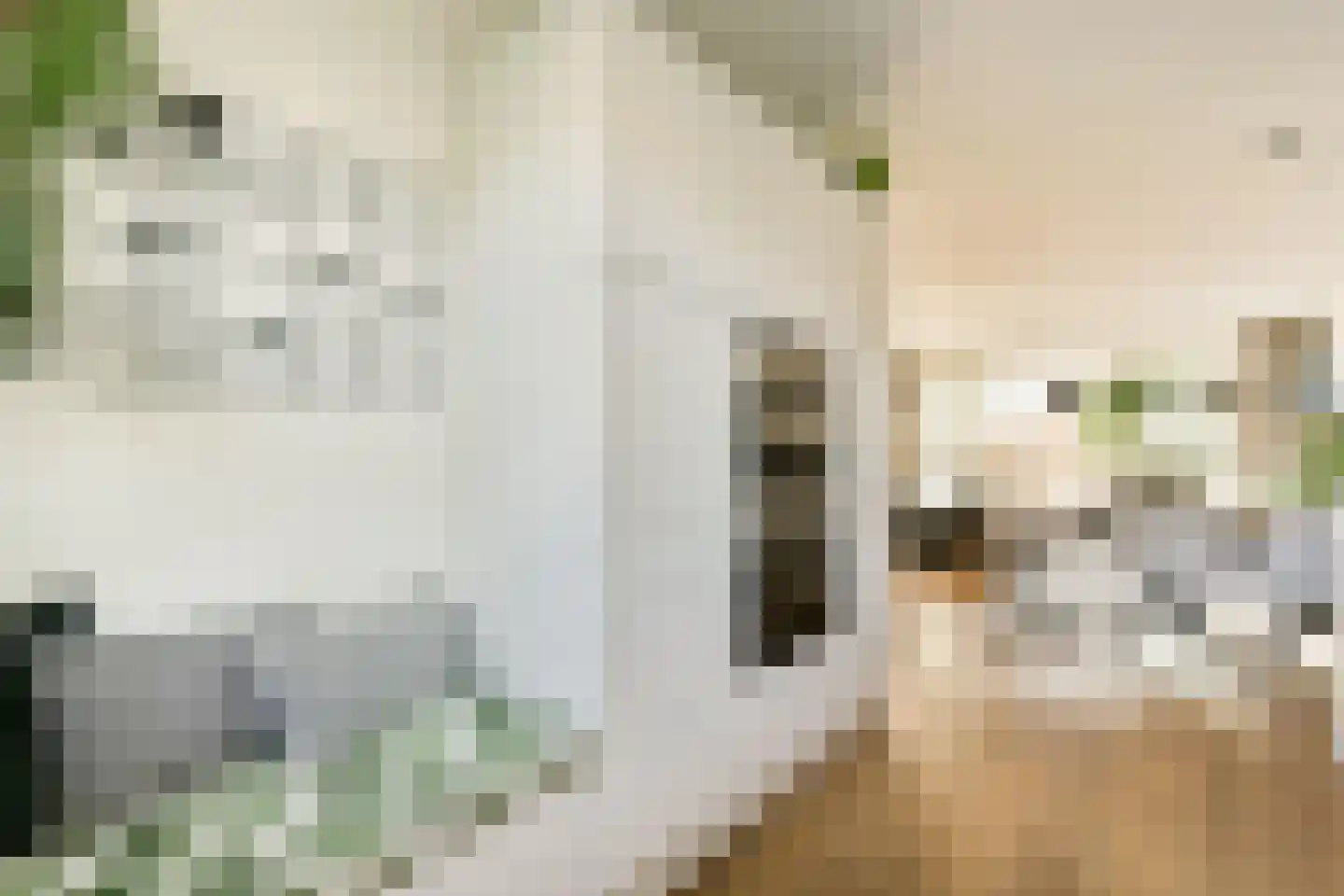 Boomgaardlaan 124 Amsterdam thumbnail 9