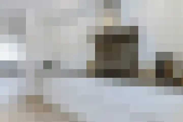 Boomgaardlaan 48 Amsterdam thumbnail 10
