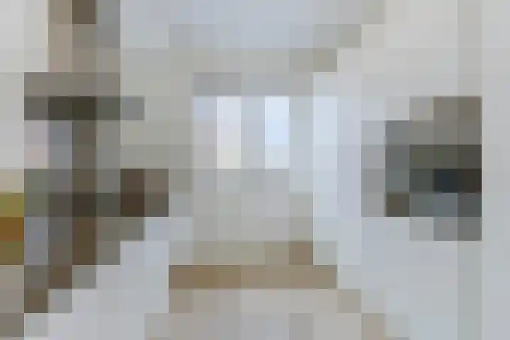 Boomgaardlaan 48 Amsterdam thumbnail 12