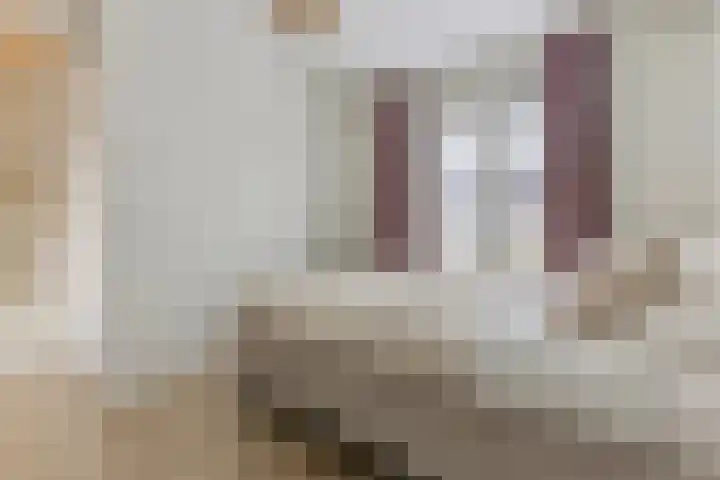 Boomgaardlaan 48 Amsterdam thumbnail 15