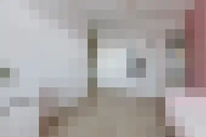 Boomgaardlaan 48 Amsterdam thumbnail 18