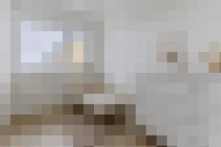 Boomgaardlaan 48 Amsterdam thumbnail 19
