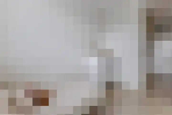 Boomgaardlaan 48 Amsterdam thumbnail 20