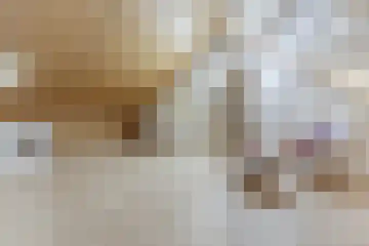Boomgaardlaan 48 Amsterdam thumbnail 25