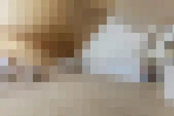 Boomgaardlaan 48 Amsterdam thumbnail 26