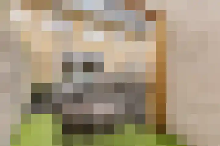 Boomgaardlaan 48 Amsterdam thumbnail 27