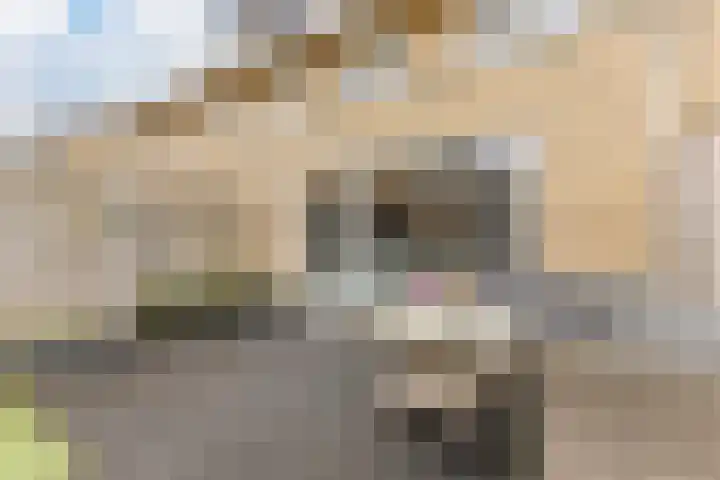 Boomgaardlaan 48 Amsterdam thumbnail 28