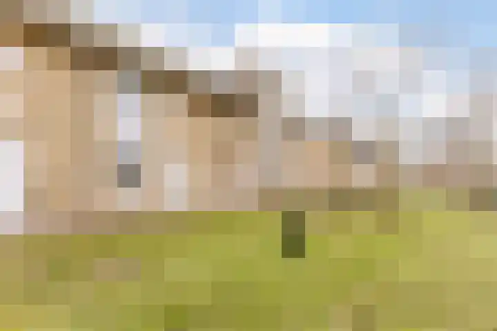 Boomgaardlaan 48 Amsterdam thumbnail 29