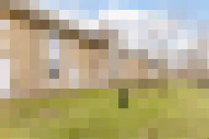 Boomgaardlaan 48 Amsterdam thumbnail 30