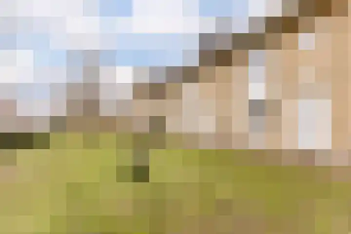Boomgaardlaan 48 Amsterdam thumbnail 31