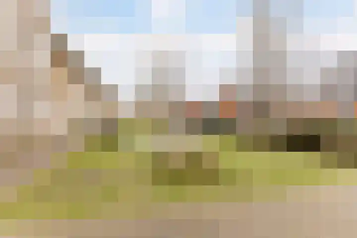 Boomgaardlaan 48 Amsterdam thumbnail 32