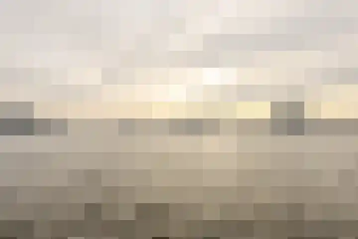 Boomgaardlaan 48 Amsterdam thumbnail 34