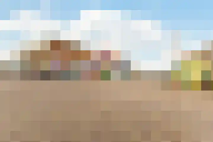 Boomgaardlaan 48 Amsterdam thumbnail 37