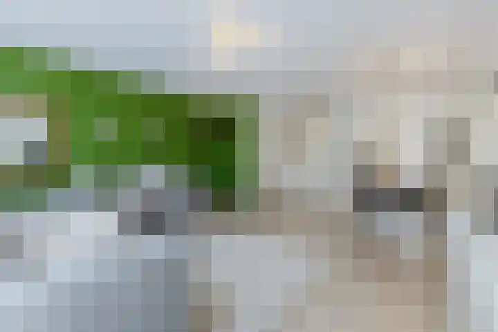 Boomgaardlaan 48 Amsterdam thumbnail 6