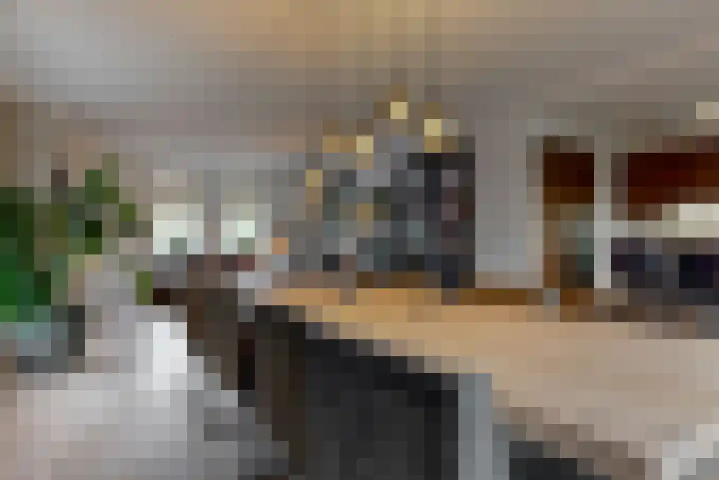 Boomgaardlaan 8 Leiderdorp thumbnail 13