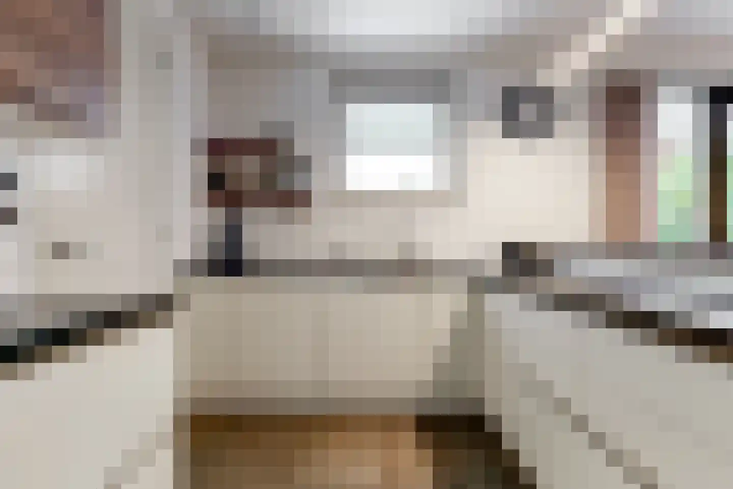 Boomgaardlaan 8 Leiderdorp thumbnail 17
