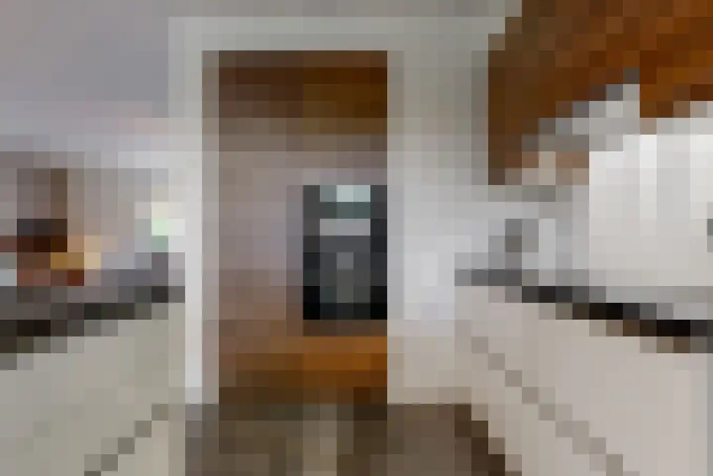 Boomgaardlaan 8 Leiderdorp thumbnail 18
