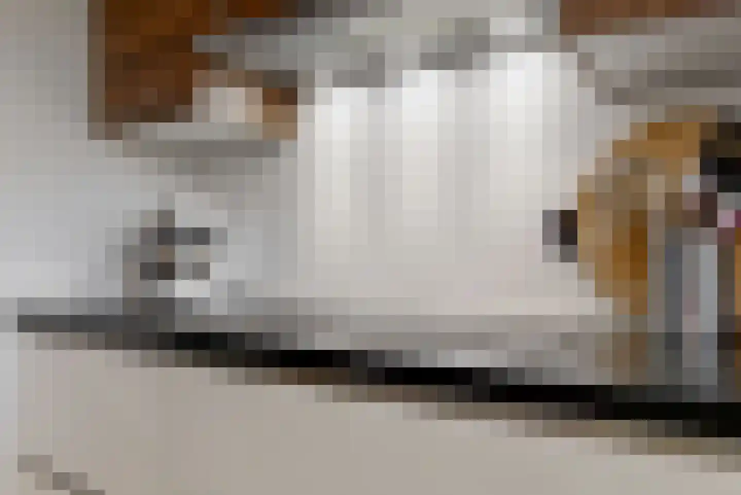 Boomgaardlaan 8 Leiderdorp thumbnail 19