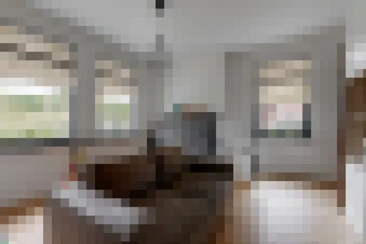 Boomgaardlaan 8 Leiderdorp thumbnail 20