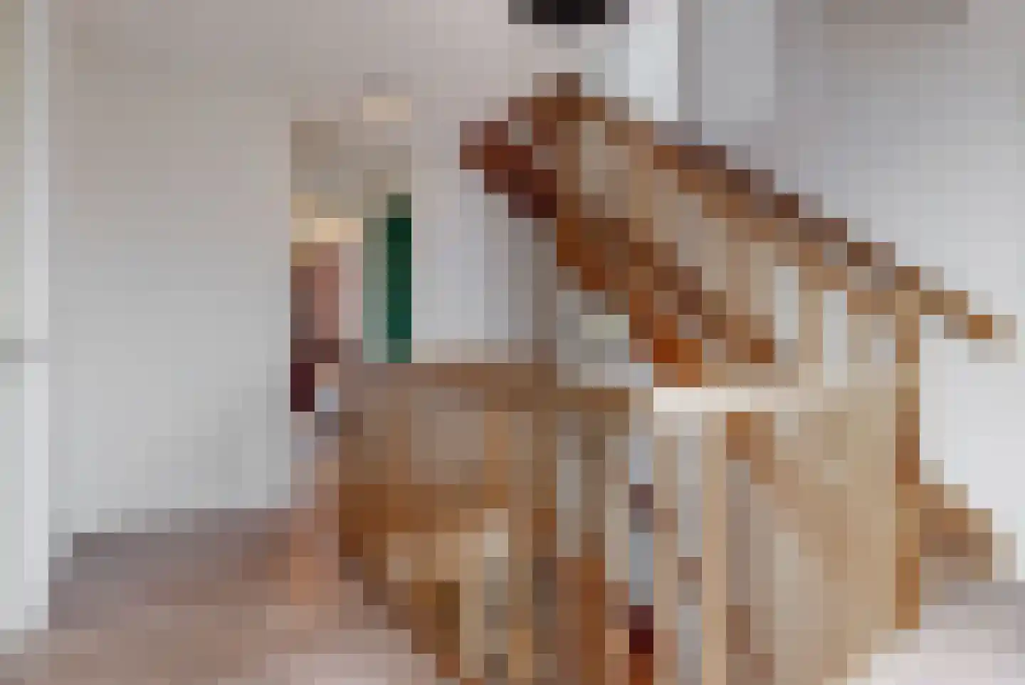Boomgaardlaan 8 Leiderdorp thumbnail 23