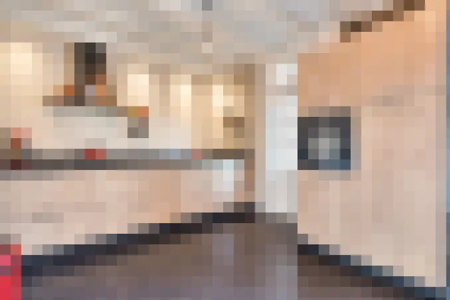 Boomgaardpad 29 Ooltgensplaat thumbnail 18