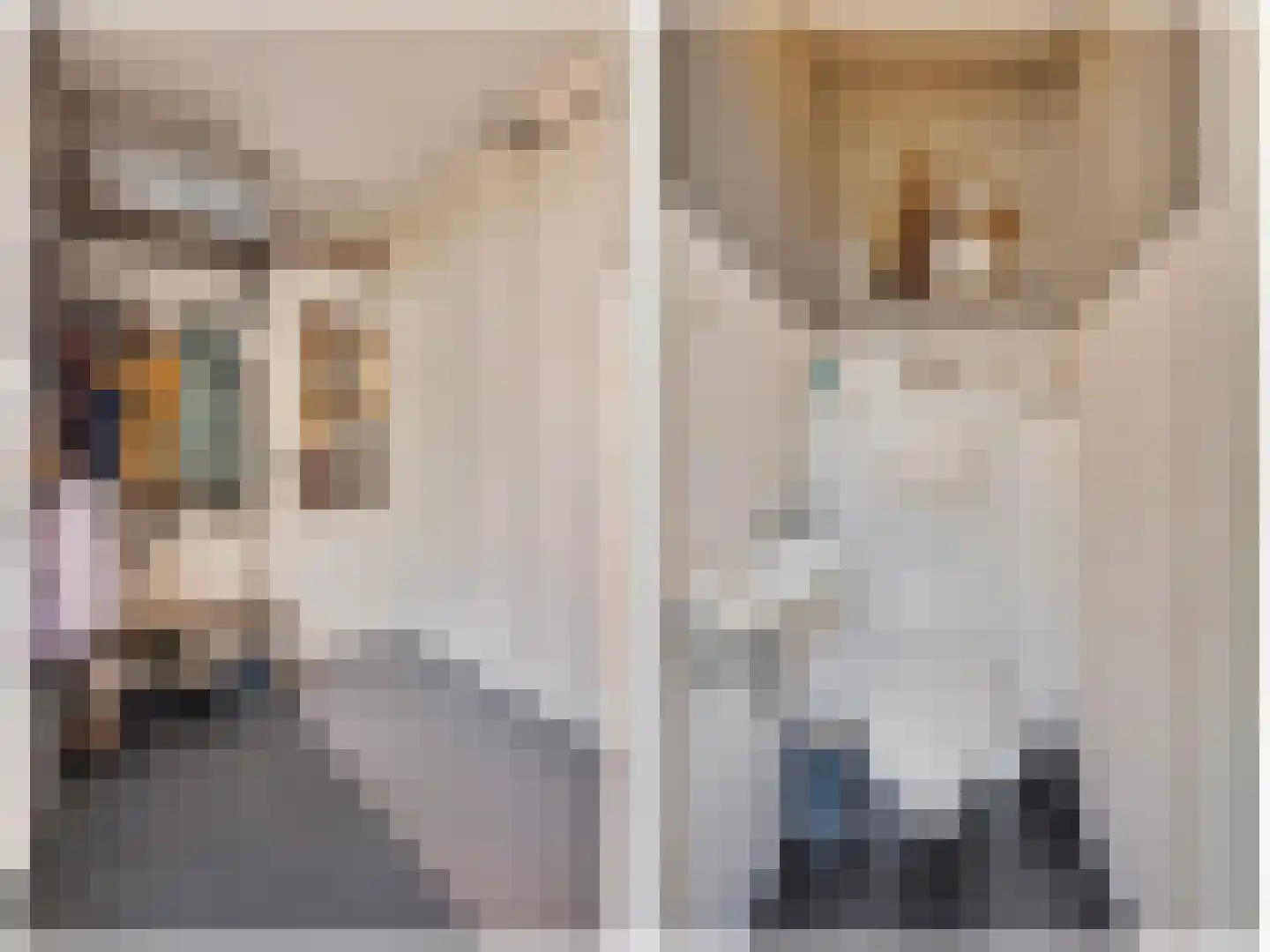 Boomgaardpad 29 Ooltgensplaat thumbnail 21