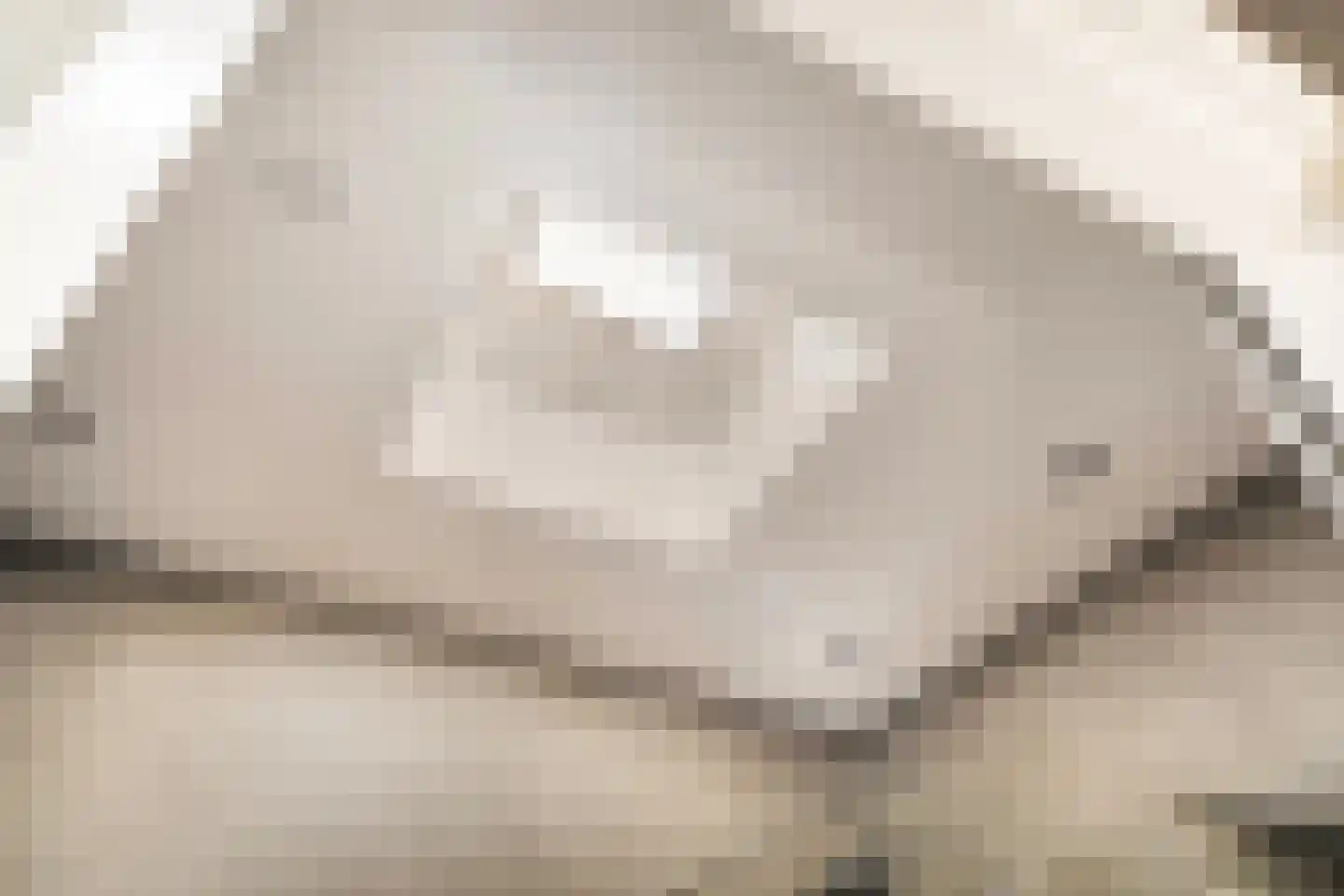 Boomgaardpad 29 Ooltgensplaat thumbnail 23