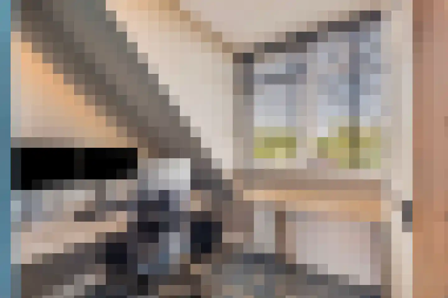 Boomgaardpad 29 Ooltgensplaat thumbnail 35