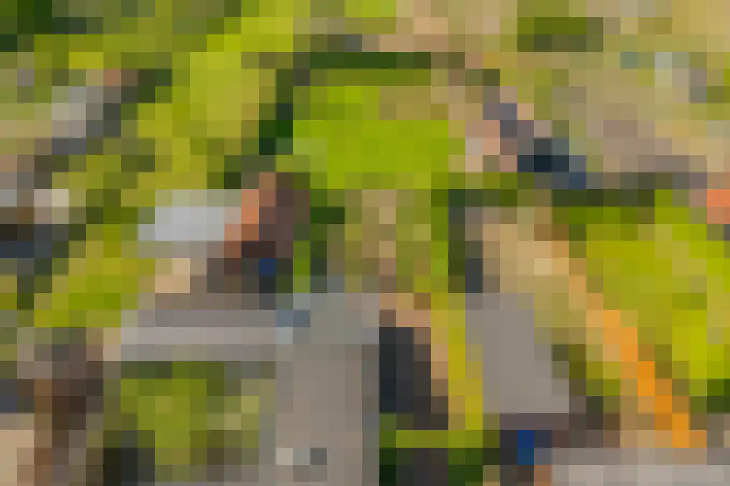 Boomgaardpad 29 Ooltgensplaat thumbnail 36