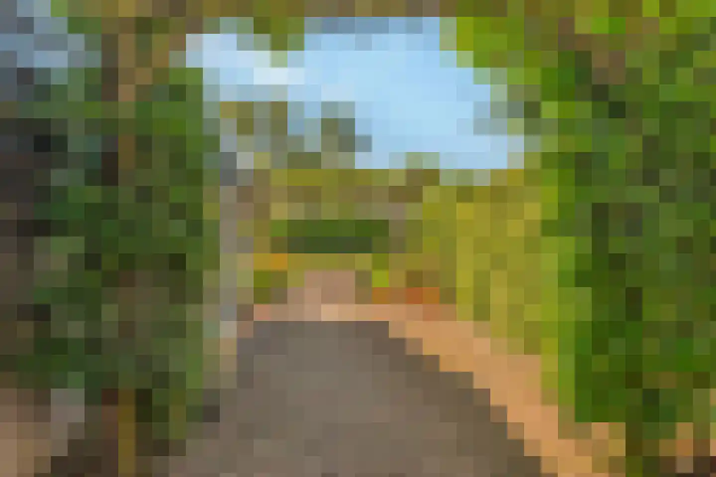 Boomgaardpad 29 Ooltgensplaat thumbnail 37