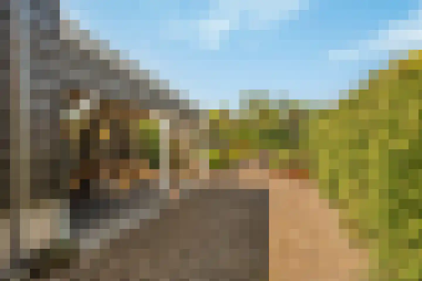 Boomgaardpad 29 Ooltgensplaat thumbnail 38